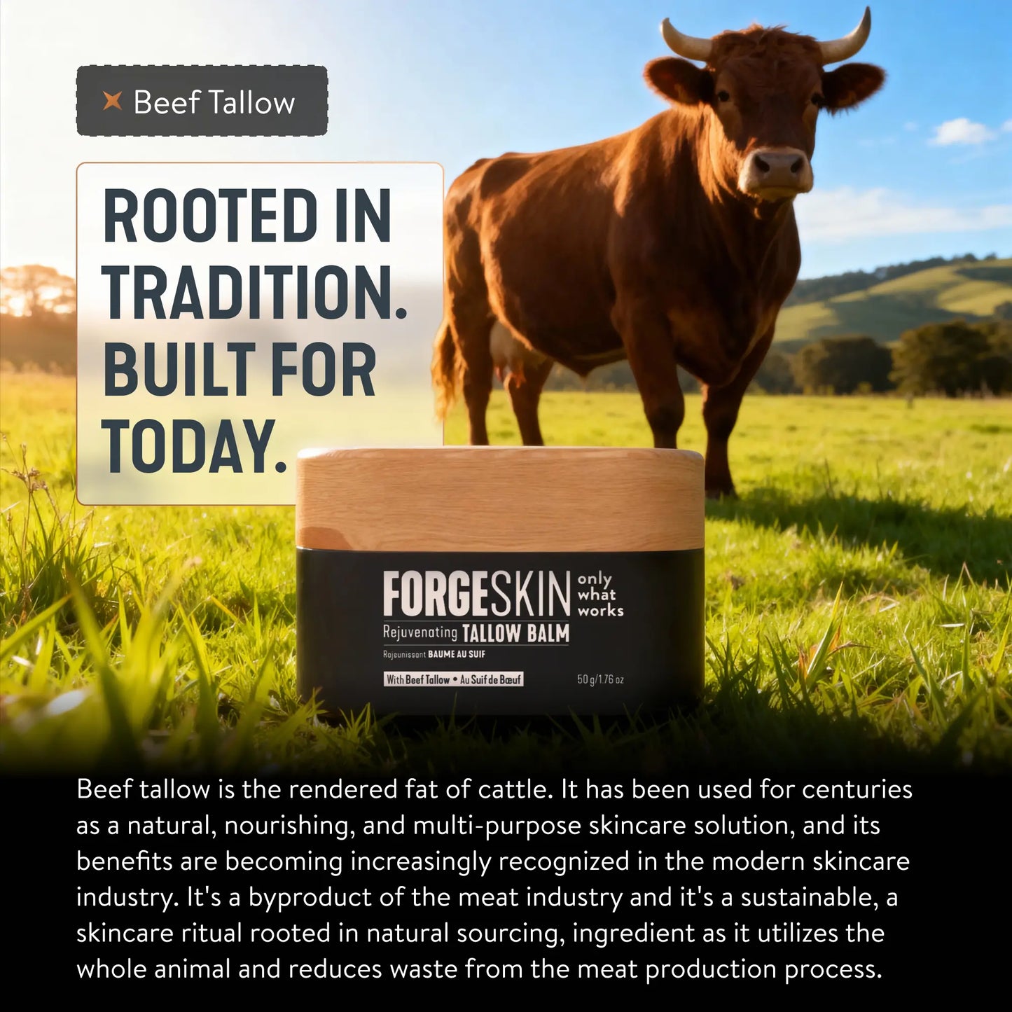 FORGE SKIN Wrinkle Defense & Natural Anti-Aging Beef Tallow Moisturizer for Men - Face Balm Skincare Cream for Dry Rough Skin Tallow-Based Mens Face Lotion for Hydration Firmness Wrinkle Repair & Glow Honey Jojoba Hydrating Smooth Skin Nourishing Moisture